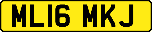 ML16MKJ