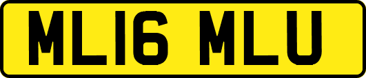 ML16MLU