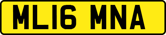 ML16MNA