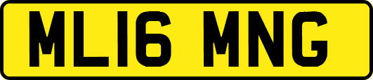 ML16MNG