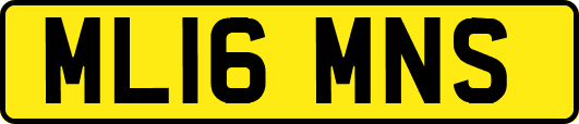 ML16MNS