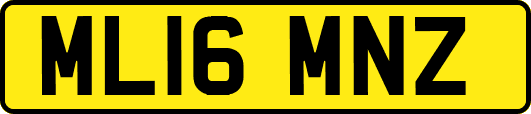 ML16MNZ