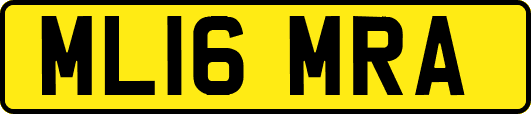 ML16MRA