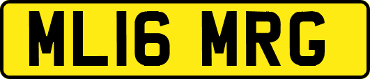 ML16MRG