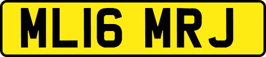ML16MRJ