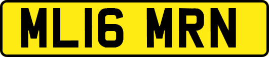 ML16MRN