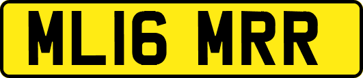ML16MRR