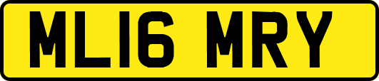 ML16MRY