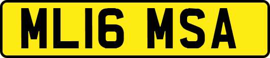 ML16MSA