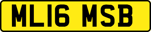 ML16MSB