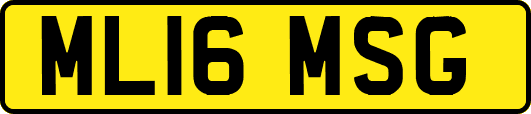 ML16MSG