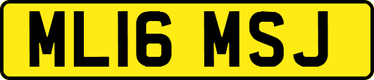 ML16MSJ