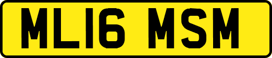 ML16MSM