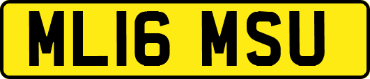 ML16MSU