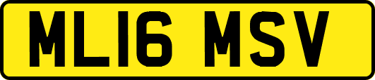 ML16MSV