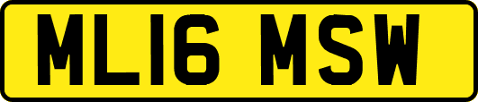 ML16MSW