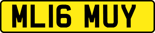 ML16MUY
