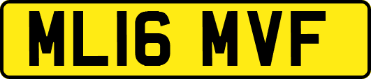 ML16MVF