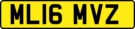 ML16MVZ