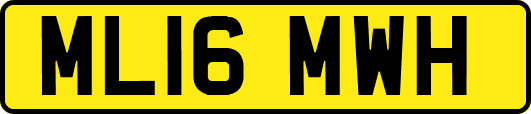 ML16MWH