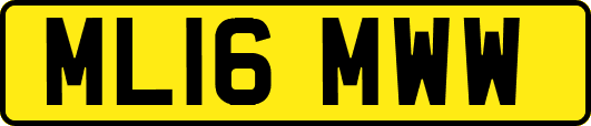 ML16MWW