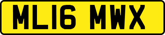 ML16MWX