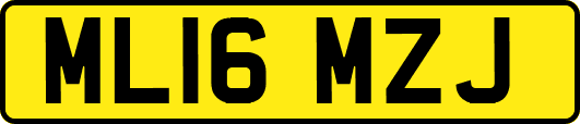 ML16MZJ