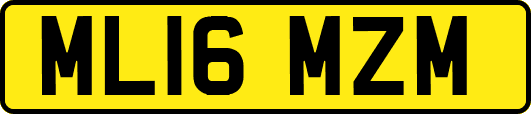 ML16MZM