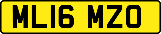 ML16MZO