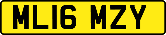 ML16MZY
