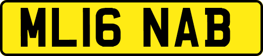 ML16NAB