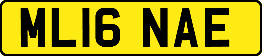 ML16NAE