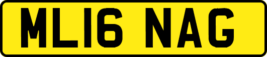 ML16NAG