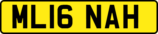 ML16NAH