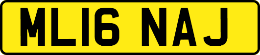 ML16NAJ