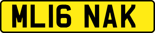 ML16NAK