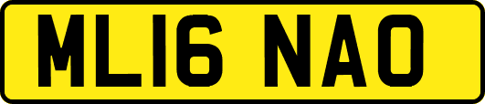 ML16NAO