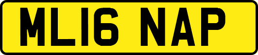ML16NAP