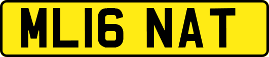 ML16NAT
