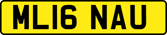 ML16NAU