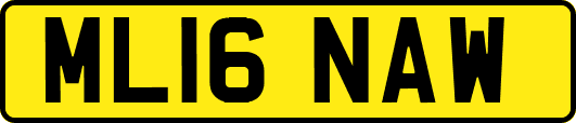 ML16NAW