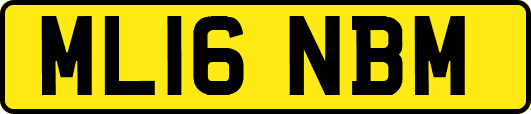 ML16NBM