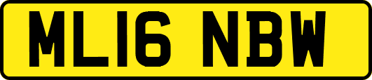 ML16NBW