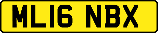 ML16NBX
