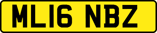 ML16NBZ