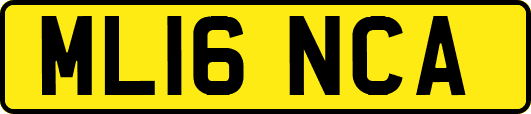 ML16NCA