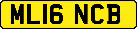ML16NCB