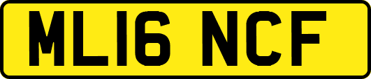 ML16NCF