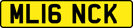ML16NCK