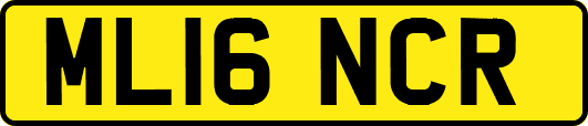 ML16NCR